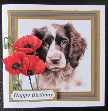 Springer pup card front 7 by Davina Rundle
