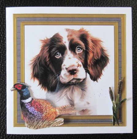 Springer pup card front 8 by Davina Rundle