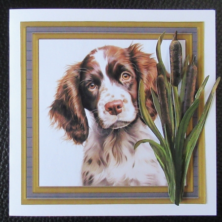Springer pup card front 12 by Davina Rundle