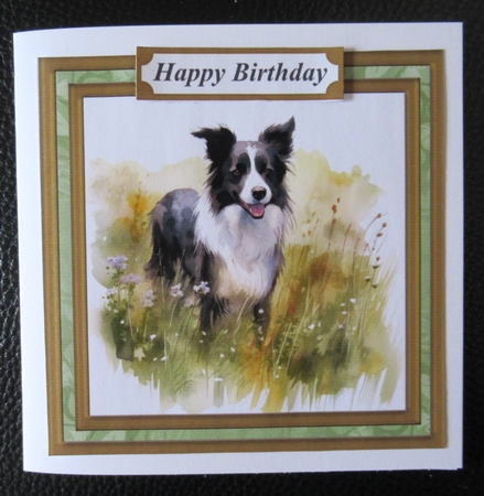 Meadow Collie card front 8 by Davina Rundle