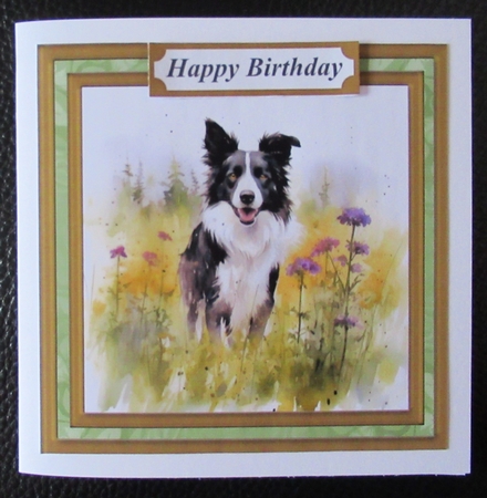 Meadow Collie card front 9 by Davina Rundle