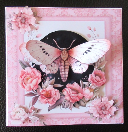 Square Pink Moth 4 by Davina Rundle