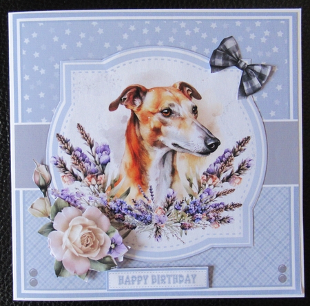 GREYHOUND SET by Davina Rundle