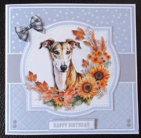 GREYHOUND SET by Davina Rundle