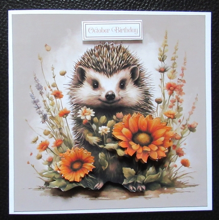 Cute Hedgehog With Flowers 7x7 Card Kit. Matching Box, Gift Bauble, Tag. by Davina Rundle