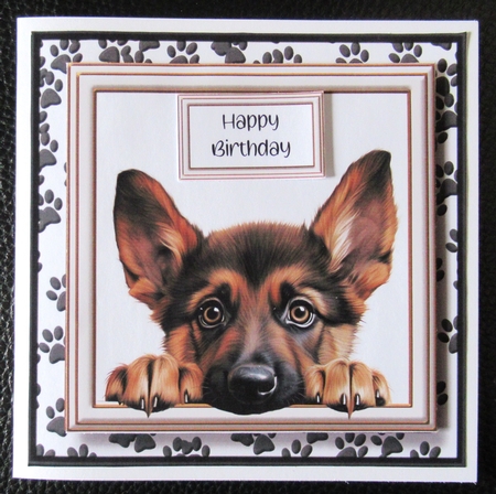 Peeking Dogs Set 3 Multi Topper Kit by Davina Rundle