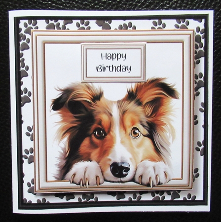 Peeking Dogs Set 4 Multi Topper Kit by Davina Rundle
