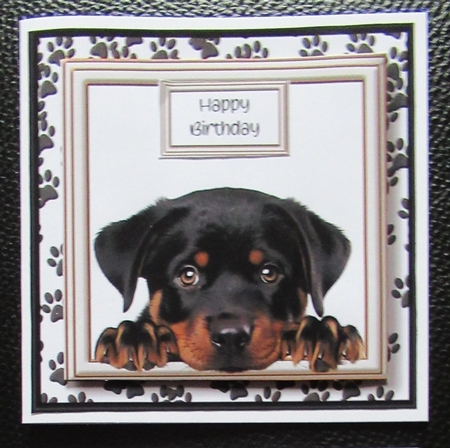 Peeking Dogs Set 4 Multi Topper Kit by Davina Rundle
