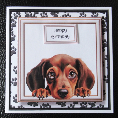 Peeking Dogs Set 5 Multi Topper Kit by Davina Rundle