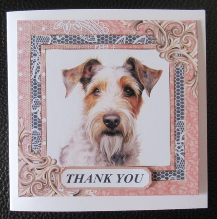 Wire haired Fox terrier card front 8 by Davina Rundle