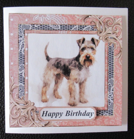 Wire haired Fox terrier card front 10 by Davina Rundle
