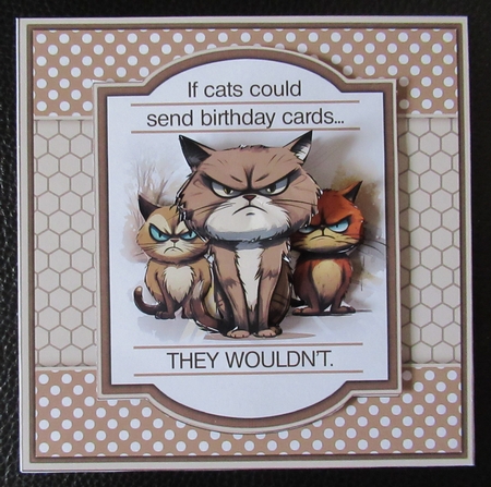 If Cats Could Buy Cards by Davina Rundle