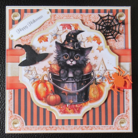 Animal Magic by Davina Rundle