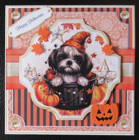 Animal Magic by Davina Rundle