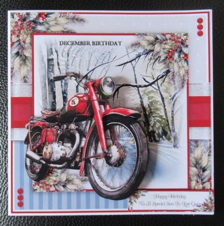 A Bike for Christmas by Davina Rundle