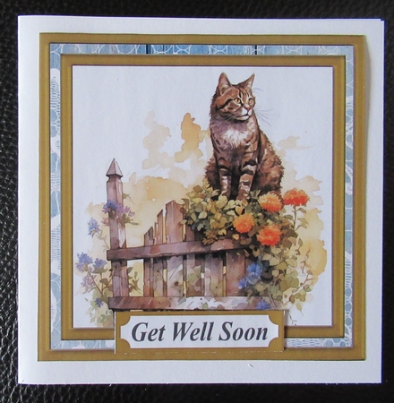 Cat on fence card front 4 by Davina Rundle