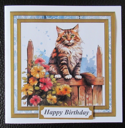 Cat on fence card front 8 by Davina Rundle
