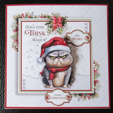 Mistletoe Kisses (Cat) by Davina Rundle
