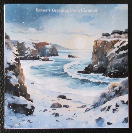 Winter in Cornwall by Davina Rundle