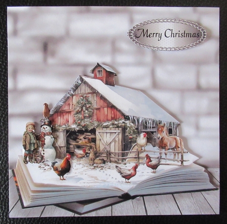 chicken farm by Davina Rundle