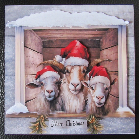 Christmas goats by Davina Rundle
