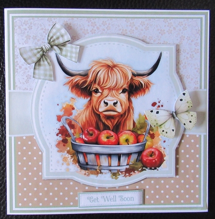 AUTUMN HIGHLAND COWS by Davina Rundle