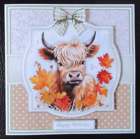 AUTUMN HIGHLAND COWS by Davina Rundle