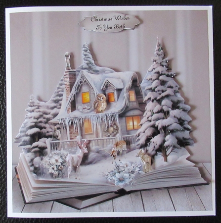 winter garden by Davina Rundle