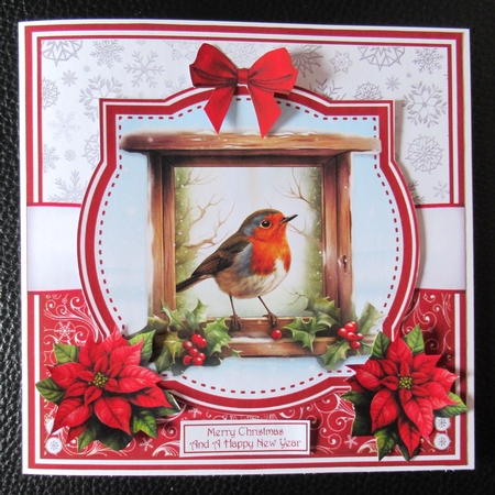 WINTER ROBINS by Davina Rundle