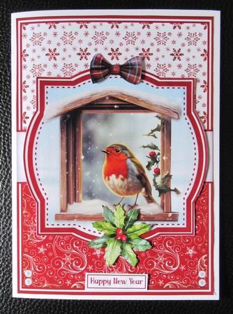 WINTER ROBINS by Davina Rundle