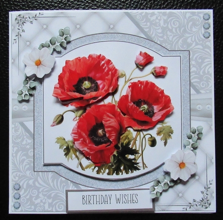 Delicate Poppies by Davina Rundle