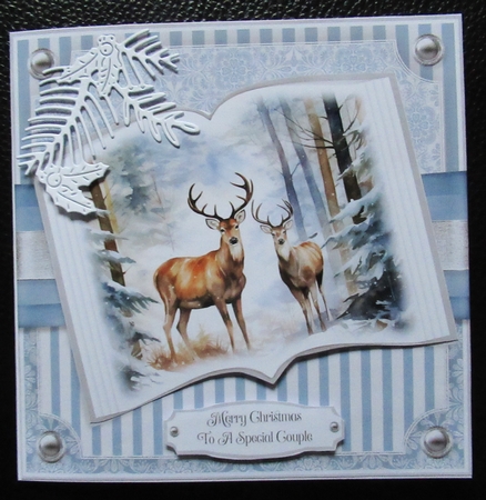 Reindeer Friends and Family by Davina Rundle