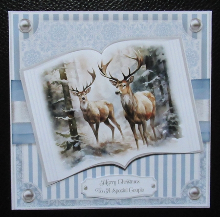 Reindeer Friends and Family by Davina Rundle