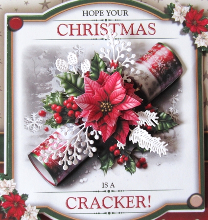 Have A Cracking Christmas! by Davina Rundle