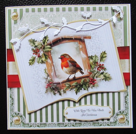 Robin Red Breast Open Book by Davina Rundle