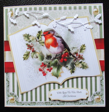 Robin Red Breast Open Book by Davina Rundle