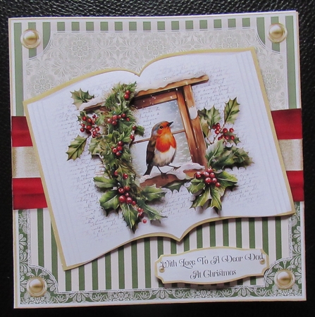 Robin Red Breast Open Book by Davina Rundle