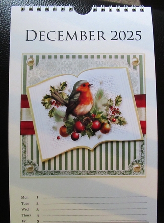 Robin Red Breast Open Book by Davina Rundle