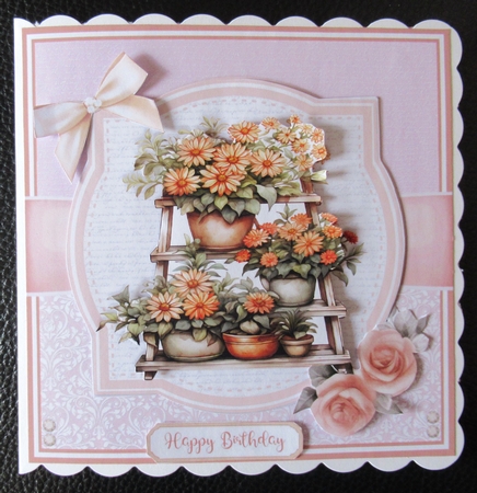 CHRYSANTHEMUMS by Davina Rundle