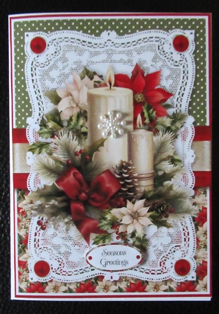 Mixed Poinsettias 7x5 inch Bumper Set by Davina Rundle