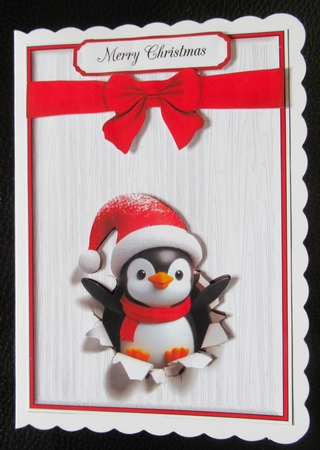 Penguin by Davina Rundle