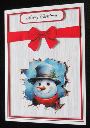 Snowman  by Davina Rundle