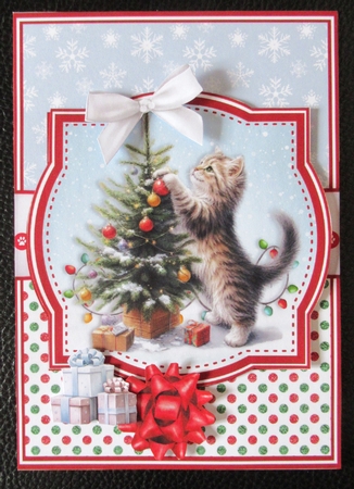 NAUGHTY CHRISTMAS CATS by Davina Rundle