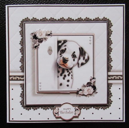 The Little Dalmatian  by Davina Rundle
