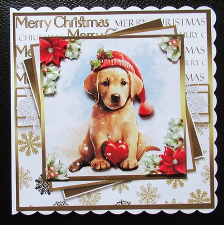 Christmas puppy wishes by Davina Rundle