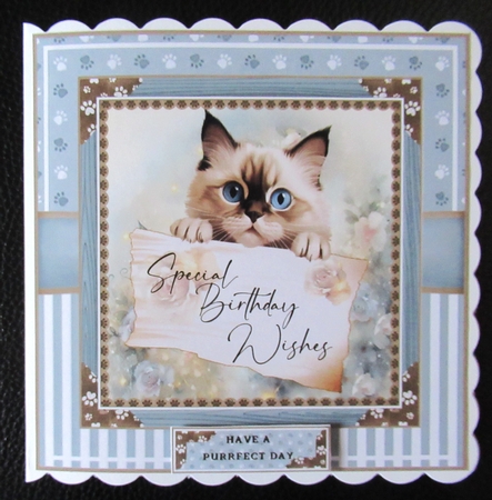 Special Birthday Wishes (Cats) Mini Page Kit  by Davina Rundle