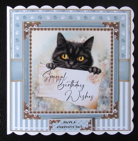 Special Birthday Wishes (Cats) Mini Page Kit  by Davina Rundle