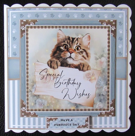Special Birthday Wishes (Cats) Mini Page Kit  by Davina Rundle