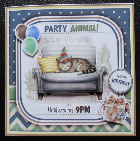 The Party Animal (Cat) by Davina Rundle