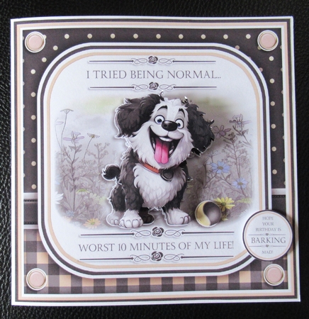 Barking Mad Birthday! by Davina Rundle